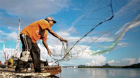 La Pesca Y Acuicultura Nacional No Se Detienen 2000agro Revista