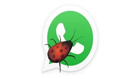 Stay Alert Whatsapp Latest Bug Is A Threat To Your Security Security