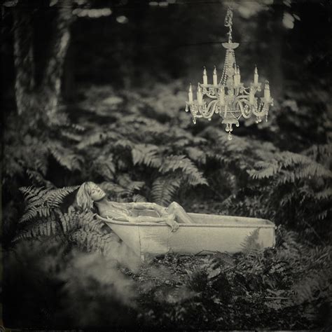 Beautiful Photo Narratives Produced With The Wet Collodion Process