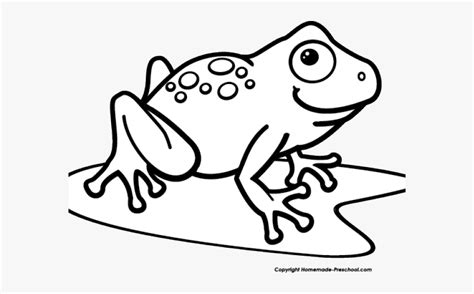 Transparent Pond Clipart Black And White Frog Clip Art Free