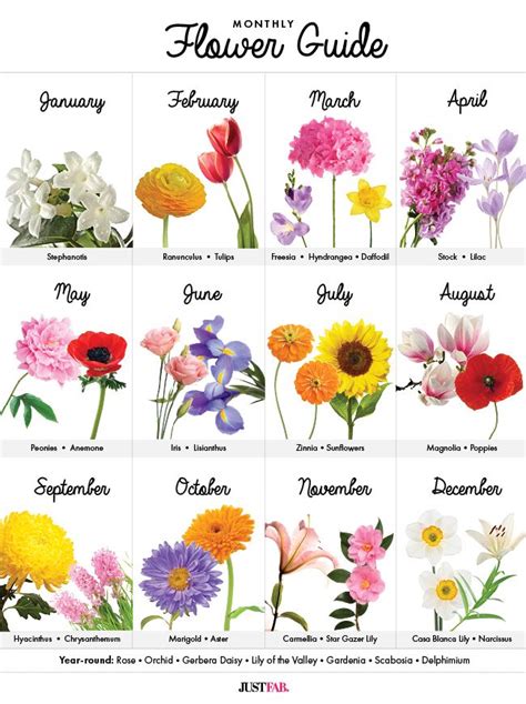 See our list of monthly birth flowers and learn the meanings behind them! A Visual Guide to Wedding Flowers by Month | Birth flower ...
