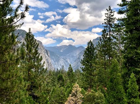 Kings Canyon National Park: What to See in One Day | Kings canyon, Kings canyon national park 