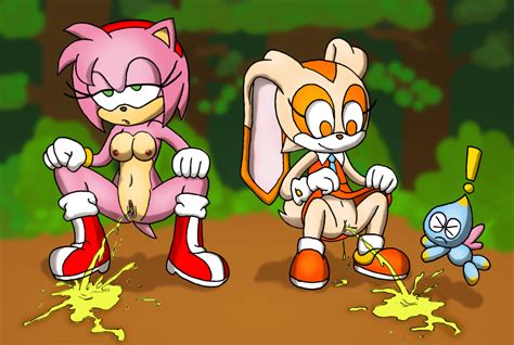 Rule 34 Amy Rose Anthro Cheese The Chao Clothing Cream The Rabbit