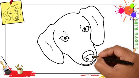 How To Draw A Dog Face Head Easy And Slowly Step By Step