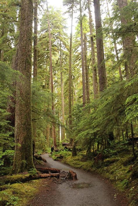 Hiking Olympic National Park Sol Duc Falls Trail Park Chasers