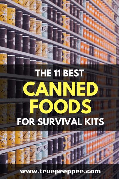 The 11 Best Canned Foods For Survival Kits Trueprepper