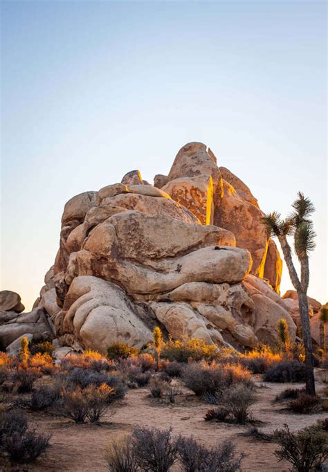 The Perfect Itinerary Joshua Tree In One Day Wheres Bel