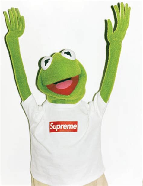 Supreme Kermit The Frog Wallpapers On Wallpaperdog