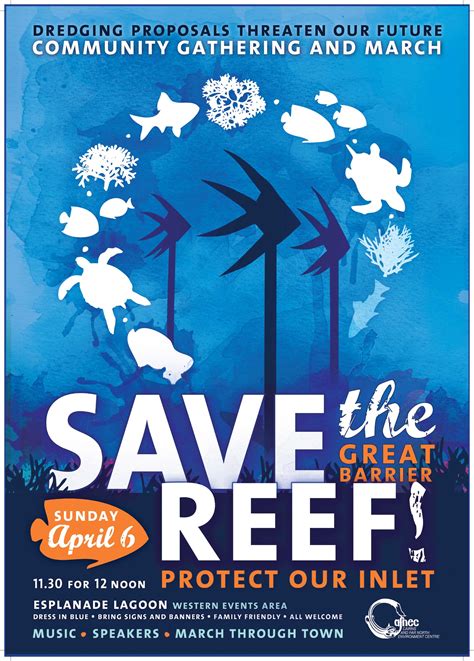Related Image Reef Marine Conservation Cairns