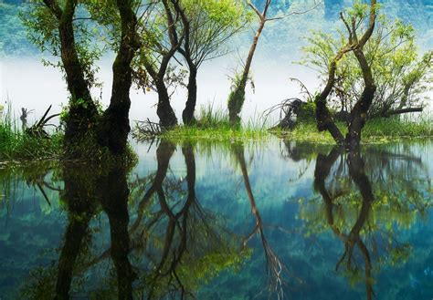 Photography Nature Landscape Reflections River Trees Grass Mist