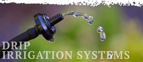 Irrigation Repair 85086 85085 85087 Sonoranscapes Landscaping