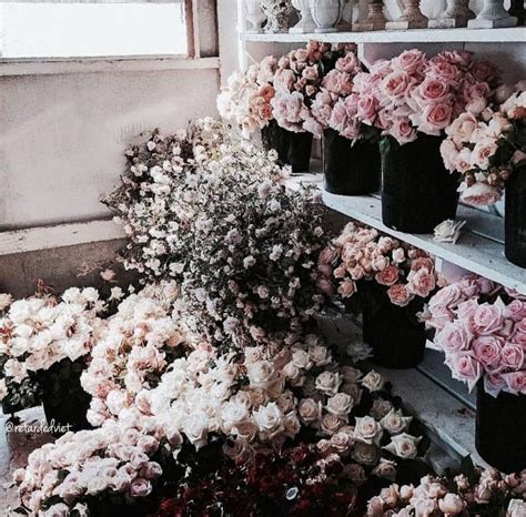 22 Most Aesthetic Flowers Caca Doresde