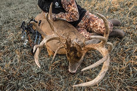Repeat Giant Killer Scores Iowa Monster Buck North America