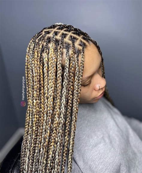 Box Braids With Brown Highlights