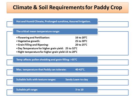 Climate And Soil Requirements For Paddy Crop