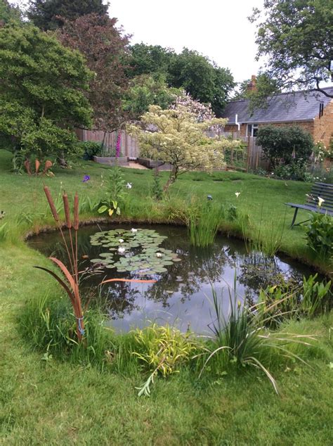 Wildlife Pond Page 2 — Bbc Gardeners World Magazine Ponds Backyard