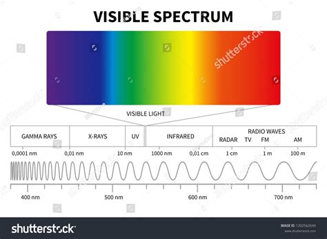 Visible Light Diagram Color Electromagnetic Spectrum