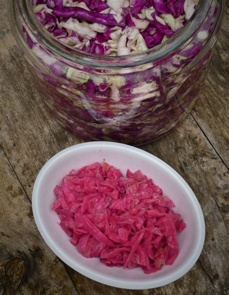 pink fermented cabbage aglaia s table in kea cyclades