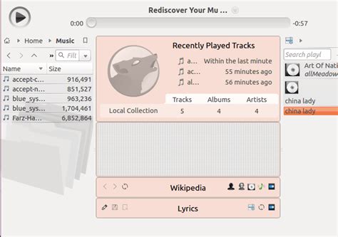 How To Mod Clementine Music Player Lasopaconsultants