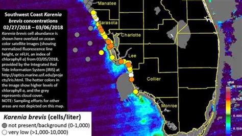 Blooms Of Red Tide Observed Across Southwest Florida