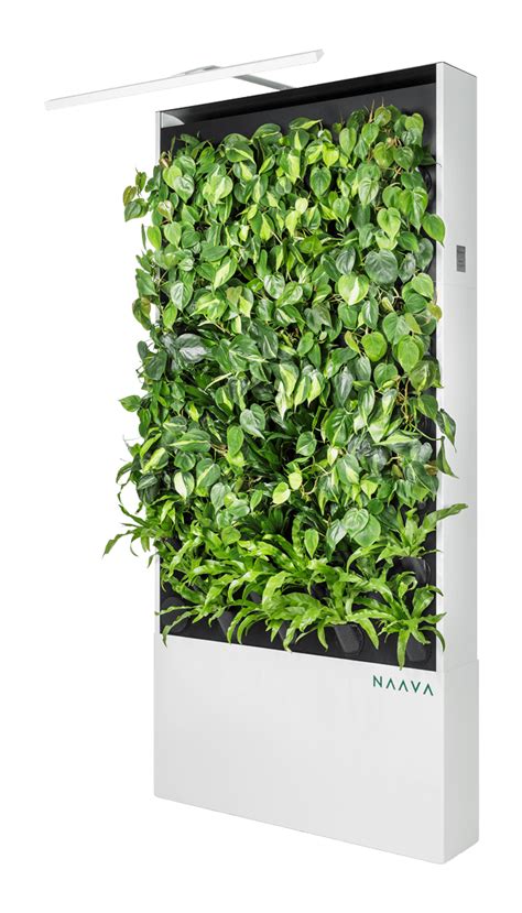 47 Green Wall Vertical Garden Png 