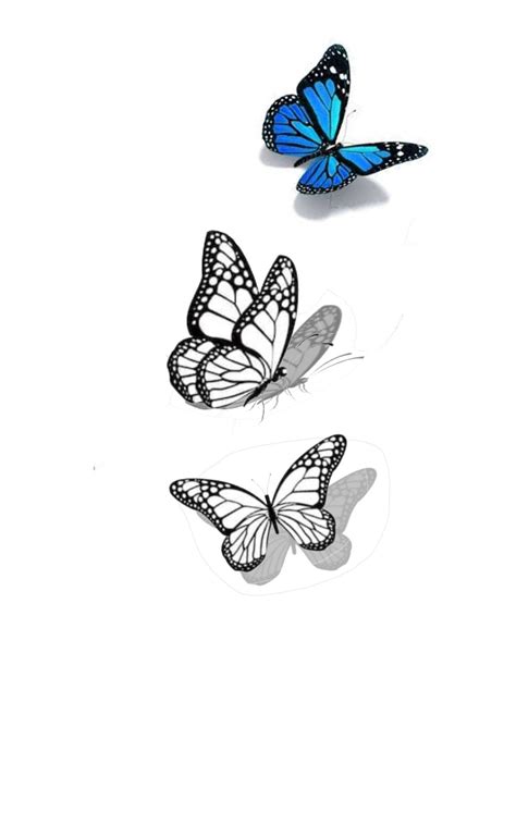 Blue Butterfly Tattoo Butterfly Tattoo Designs Butterfly Drawing