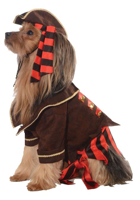 Pirate Dog Costume