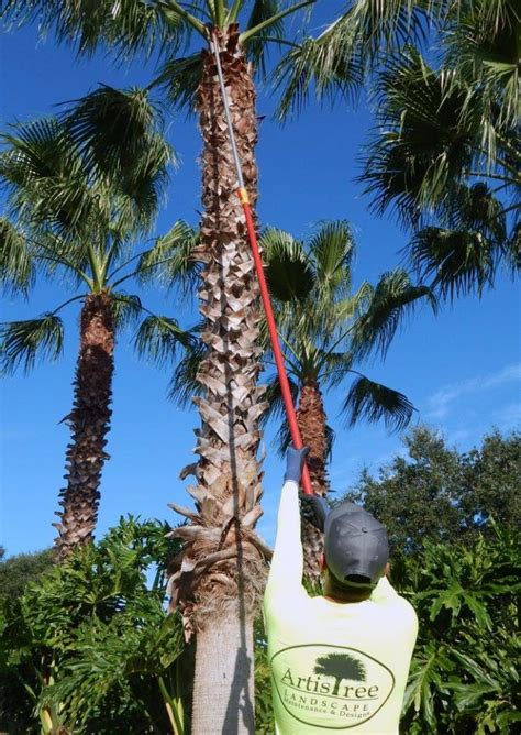Artistree specializes in customer service for landscape maintenance and design projects in bradenton, sarasota, venice and other nearby cities. Employment - ArtisTree ArtisTree