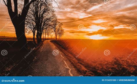 Treelined Country Road In Winter Against A Colorful Sunset Stock Photo