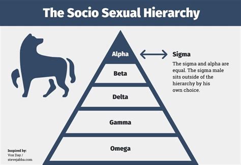 The Omega Male Explained Understanding Society S Reject