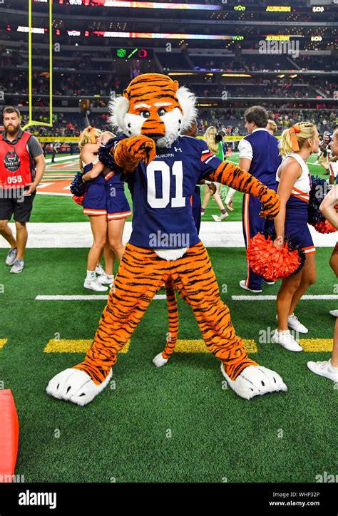 Aubie Hi Res Stock Photography And Images Alamy