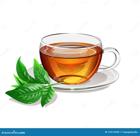 Black Tea In A Glass Cup With Green Leaf Of Tea Vector Illustration