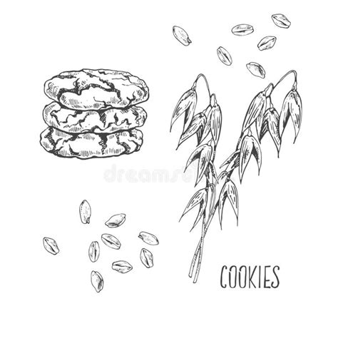 Hand Drawn Vector Biscuits Cookies And Cereals Stock Vector