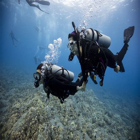 Scuba Diving In Andaman Islands India Scuba Diving Cost In Andaman