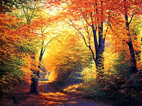 Autumn Wallpapers Images Free Images Fun