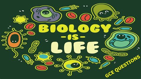All Cameroon Gce O Level Biology Past Questions Answers Pdf In