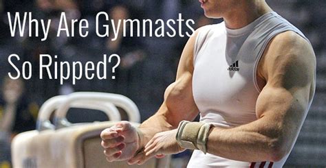 Why Are Gymnasts So Ripped Jmax Fitness