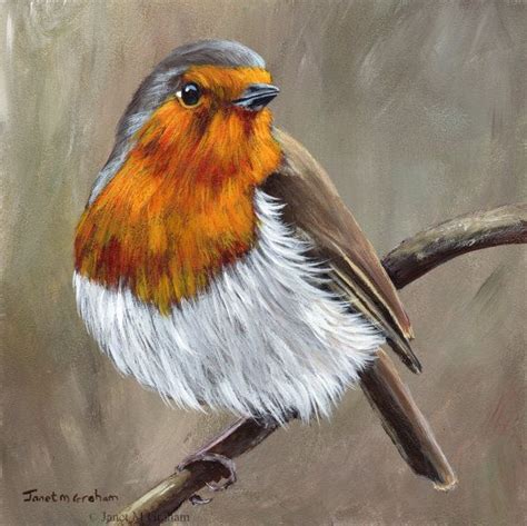Robin Bird Art Wildlife Sfa Original Hand Painted Acrylic Bird