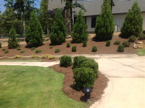 Decide which type will work best for your yard. Privacy Shrubs | Gardner Landscaping, LLC.