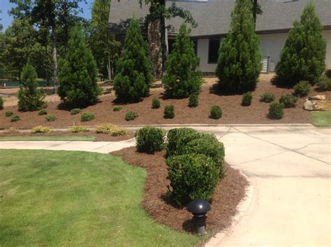 You can choose the bush based on your requirement. Privacy Shrubs | Gardner Landscaping, LLC.