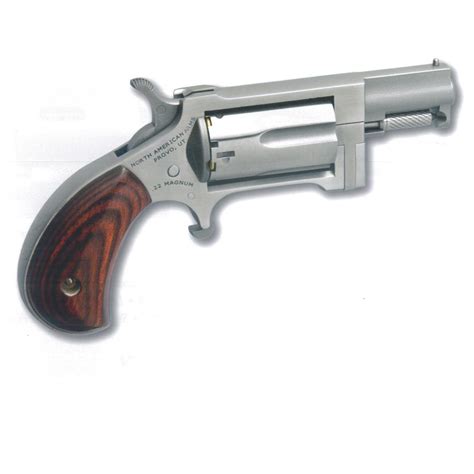 Naa Sidewinder Revolver 22 Magnum Rimfire 1 Barrel 5 Rounds