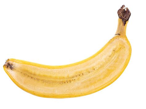 Germinating Banana Seeds Can You Grow Bananas From Seed Grow Banana