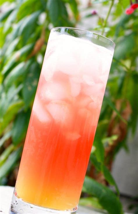 17 Best Cocktails For Ladies Fruit Juice Cocktails Fancy Drinks