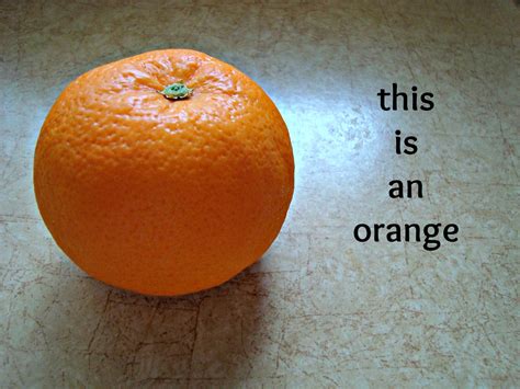 The Good The Bad And The Quirky Orange You Glad Youre Reading This