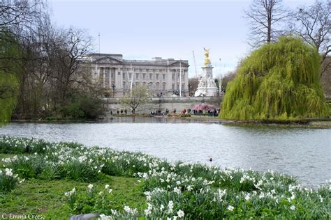 It's also home to the mall, with many ceremonial parades and events of national celebration. St James Park and Green Park, April Blossom style ...