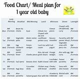 1 Year Old Baby Food Schedule Images