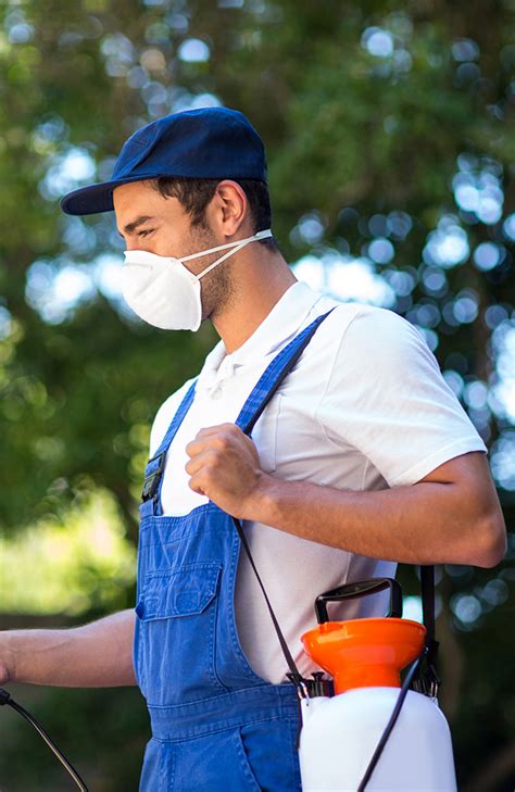 Deciding to diy or hire pest control professional. What To Look for When Hiring a Pest Control Professional ...