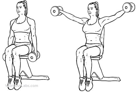 Seated Lateral Dumbbell Raise Illustrated Exercise Guide Workoutlabs