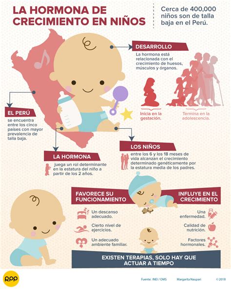 Factores Que Influyen En El Crecimiento Del Ni O Ni Os Relacionados