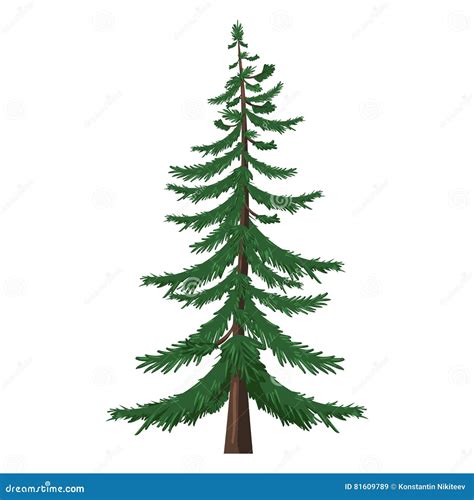 Vector Single Cartoon Pine Tree On White Background Stock Vector Illustration Of Element Icon